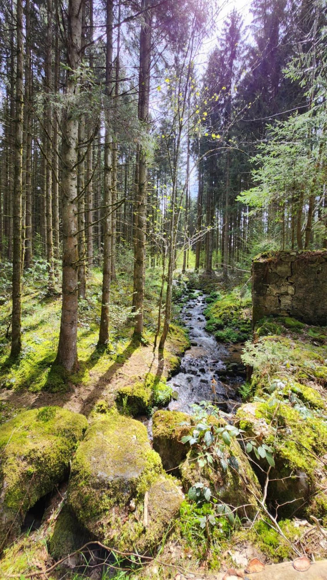 Gerardmer La Villa De Corcieux Eksteriør bilde
