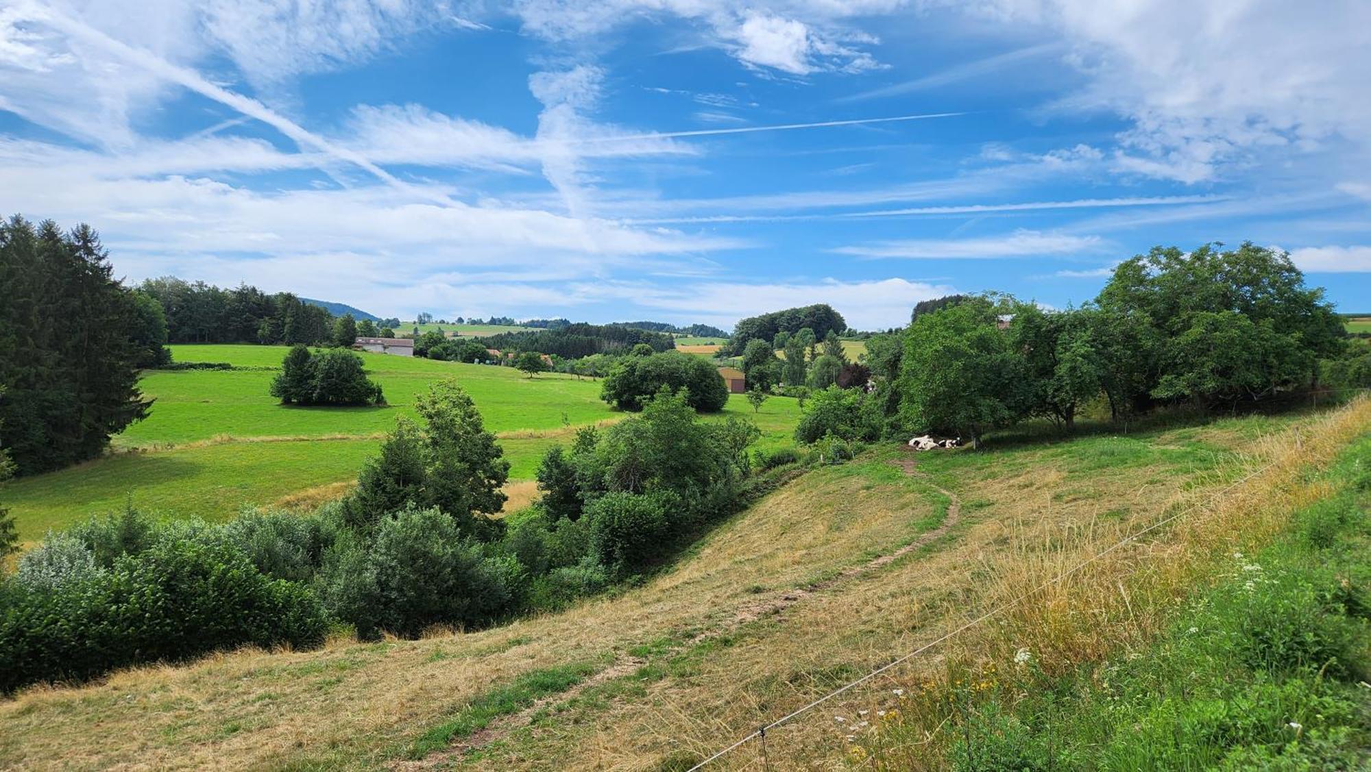 Gerardmer La Villa De Corcieux Eksteriør bilde